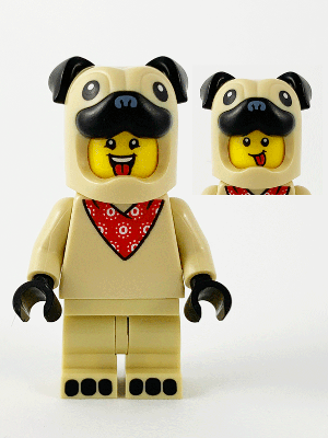 Pug Costume Guy, Series 21